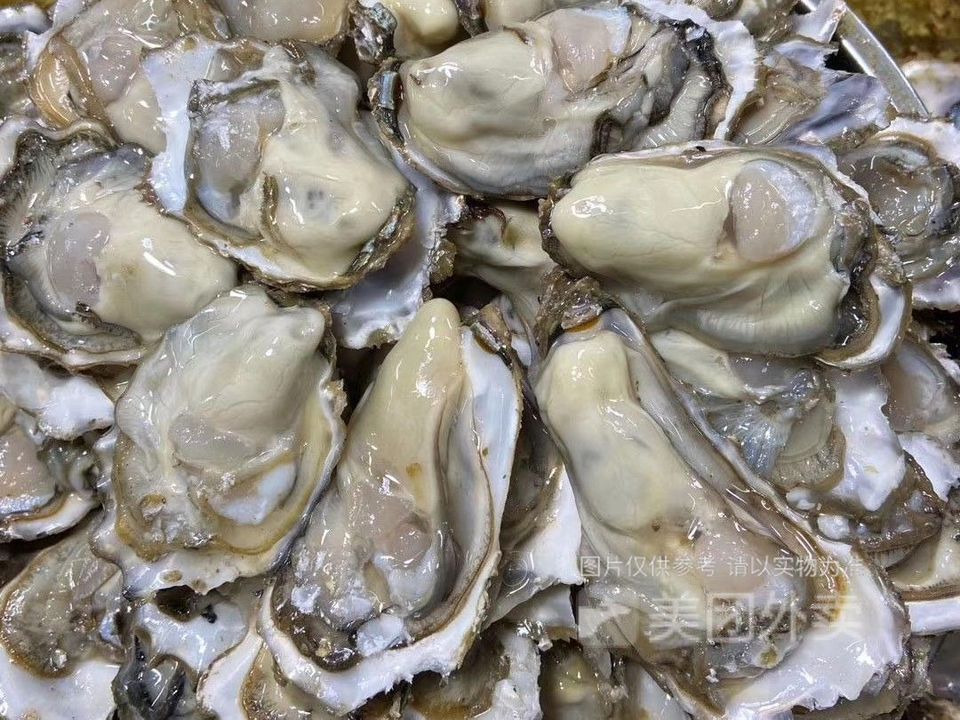 烤蛎头图片