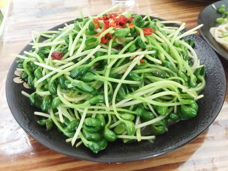 清炒豆苗图片
