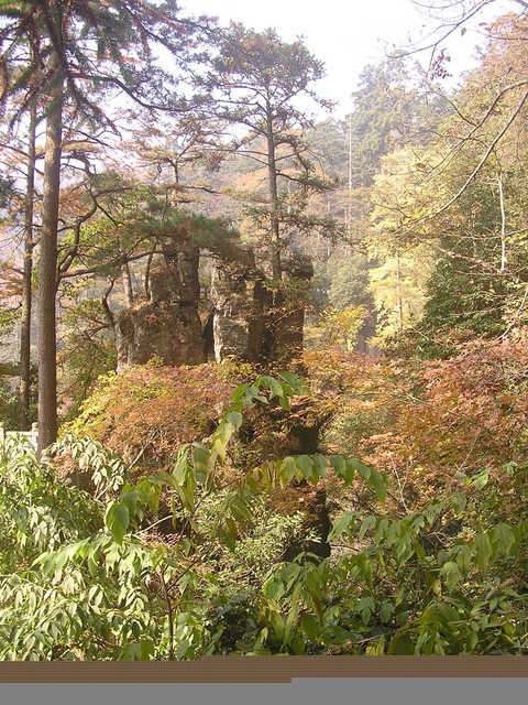 倒掛蓮花峰天目山景區