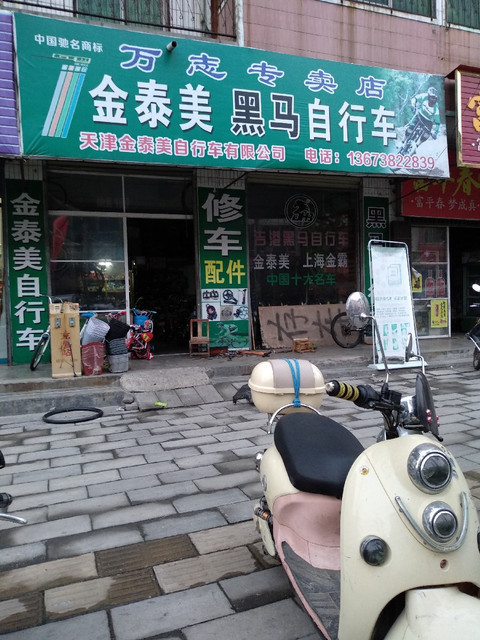 金泰美黑马自行车(万志专卖店)图片