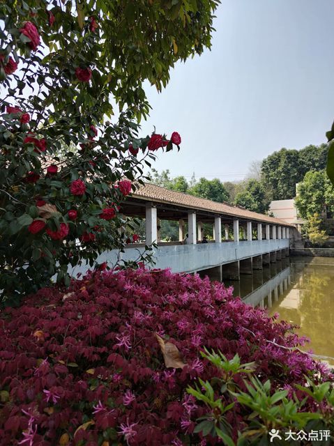 > 海兰云天农家乐