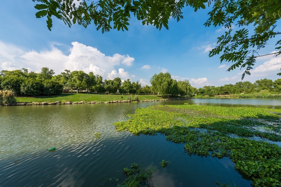                  九里河湿地公园