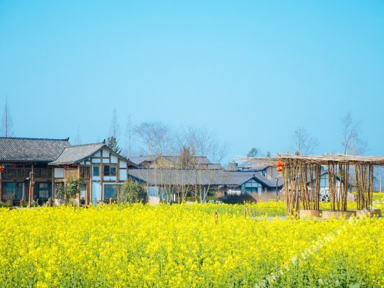 大邑县董场镇祥和村