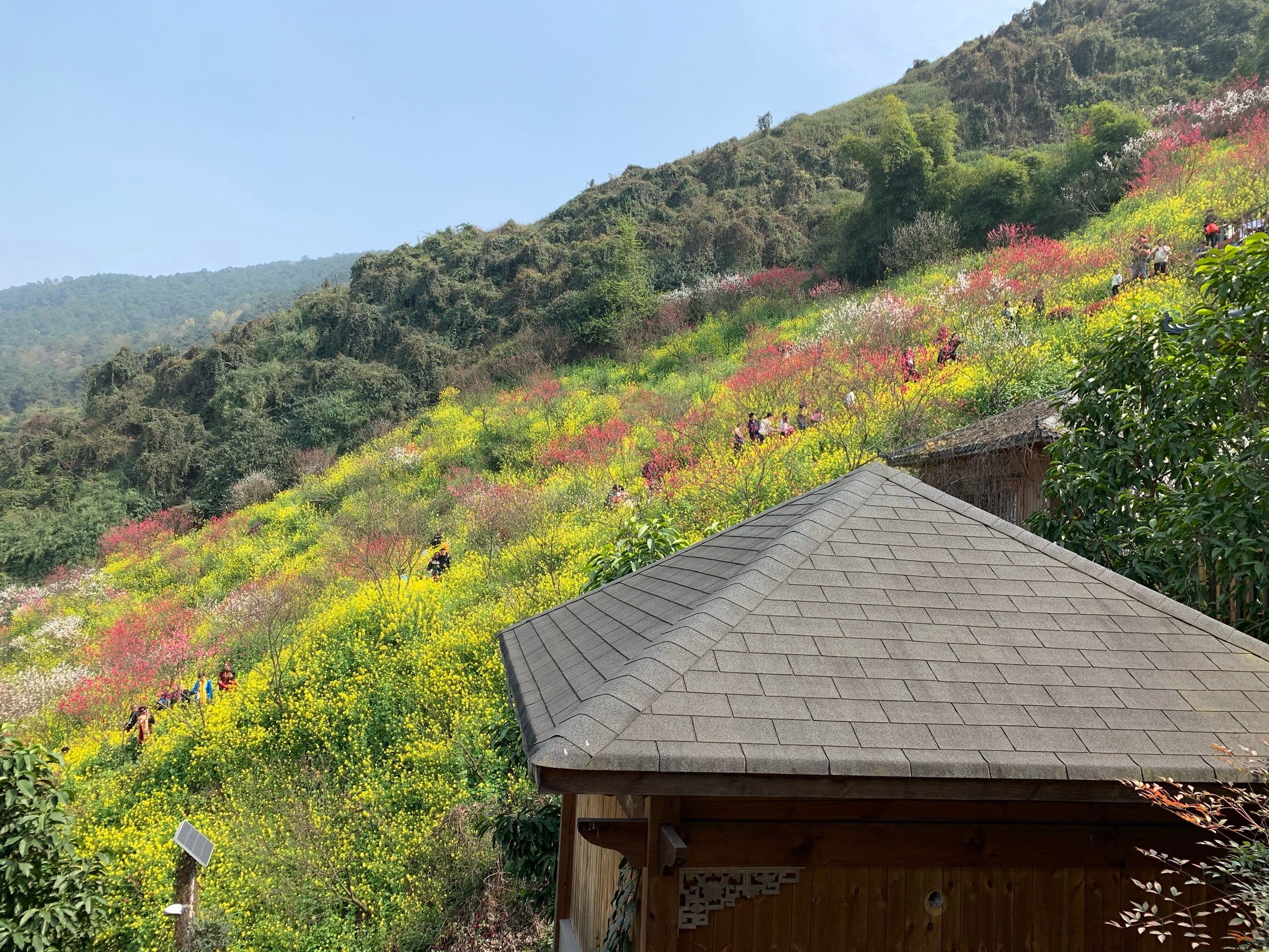 桃花島風景區