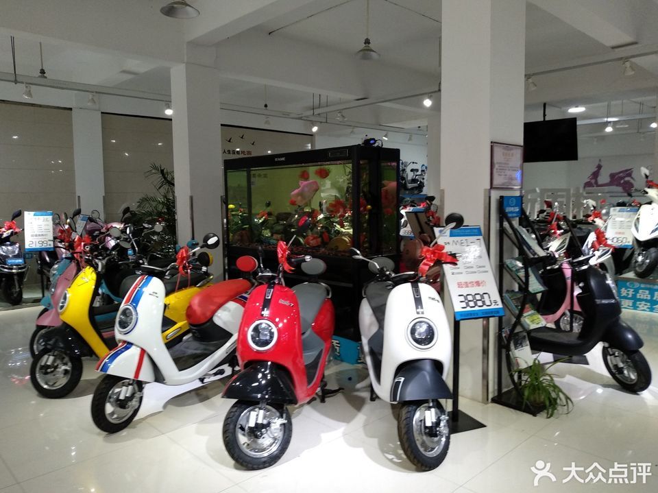                      绿驹电动车