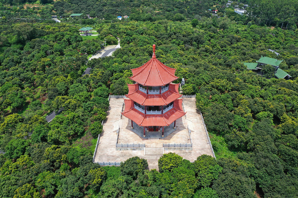 新塘荔枝山公园图片图片