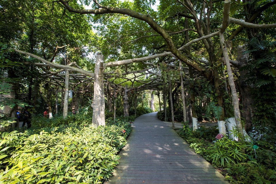 广西药用植物园