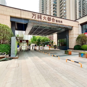                      万科大都会
