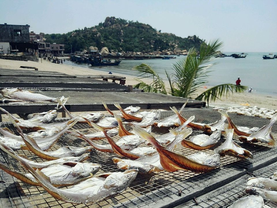台山北陡兄弟海鲜坊
