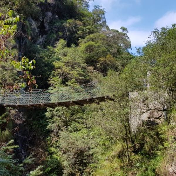 牛头山国家森林公园