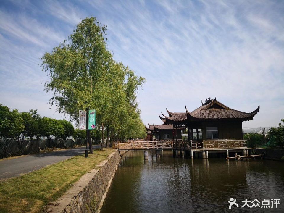 老树葡萄庄园