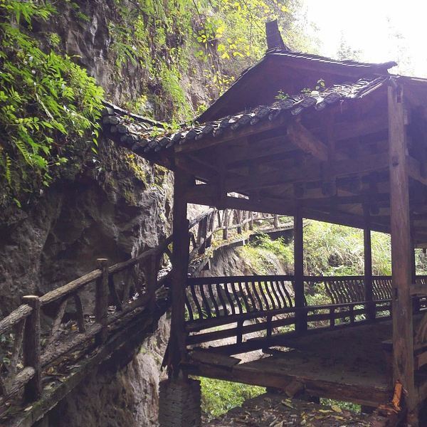 口碑):jj77:五一张家界之行的最后一天偶然听朋友介绍了鬼谷峡洞景区