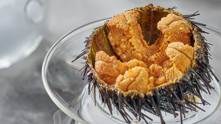 生吃活海胆图片