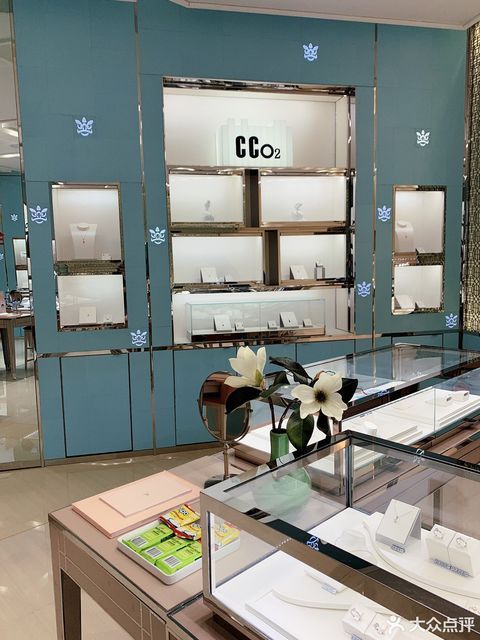 钻石小鸟(西安体验中心)