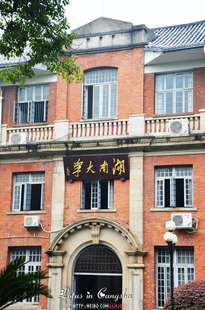> 巴别塔图书馆