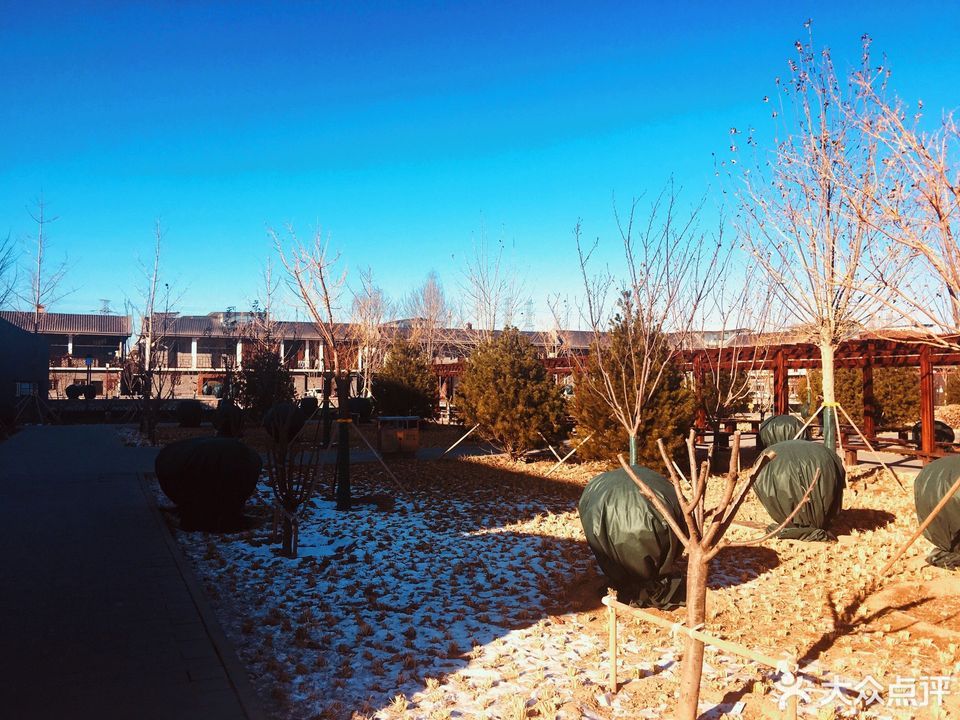 北京市朝阳区崔各庄马泉营