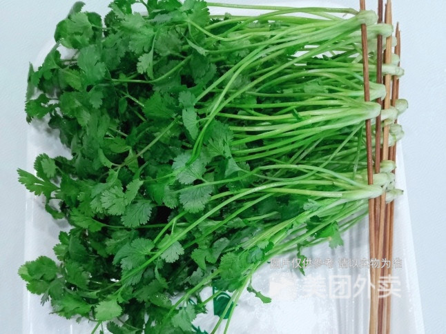 香菜图片