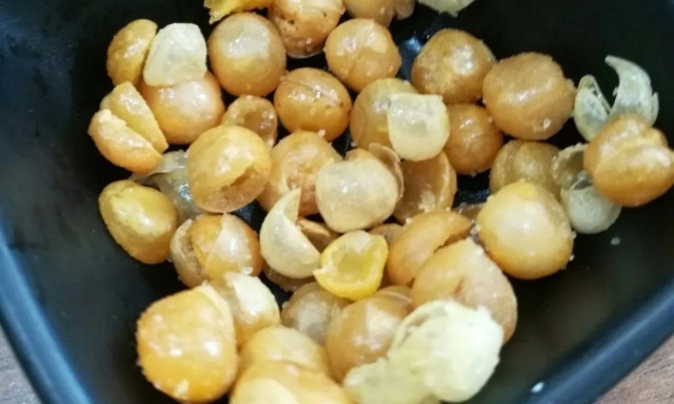 草原黄蘑菇图片