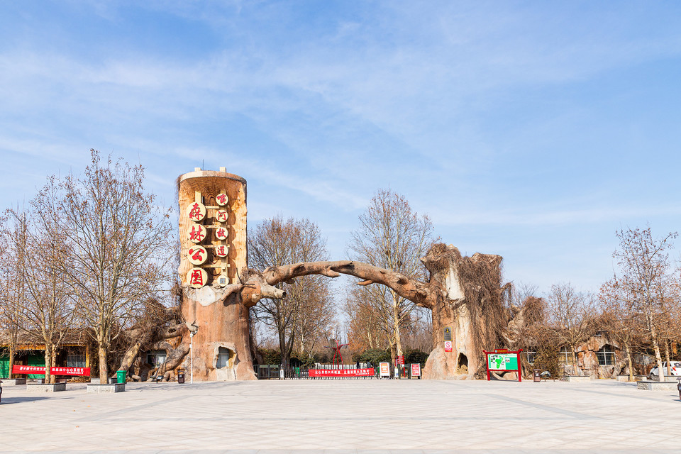 黃河故道森林公園圖片