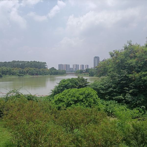 花都湖公园游玩攻略,花都湖公园游玩攻略图