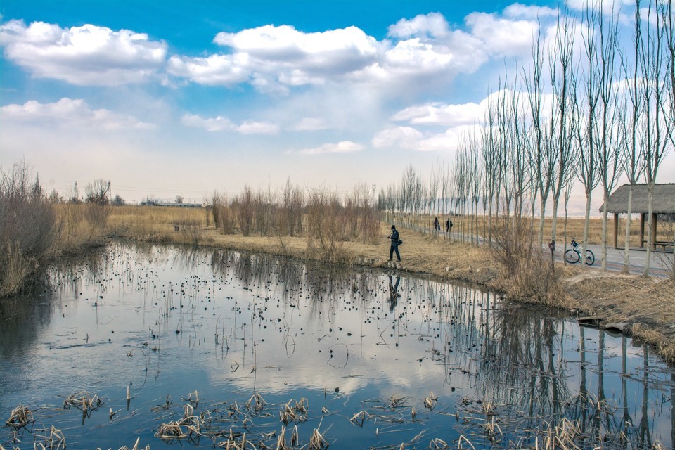 馬灘溼地公園