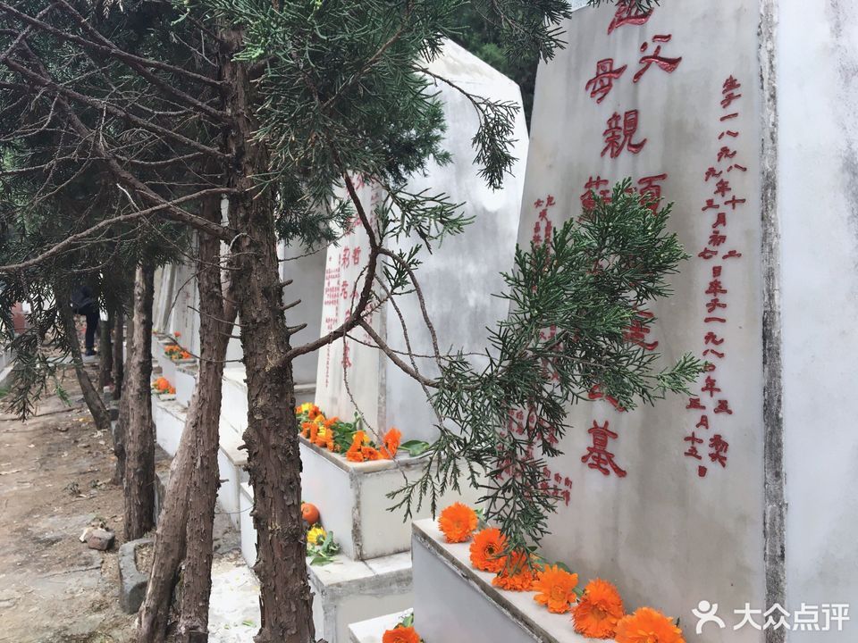 竹望山公墓
