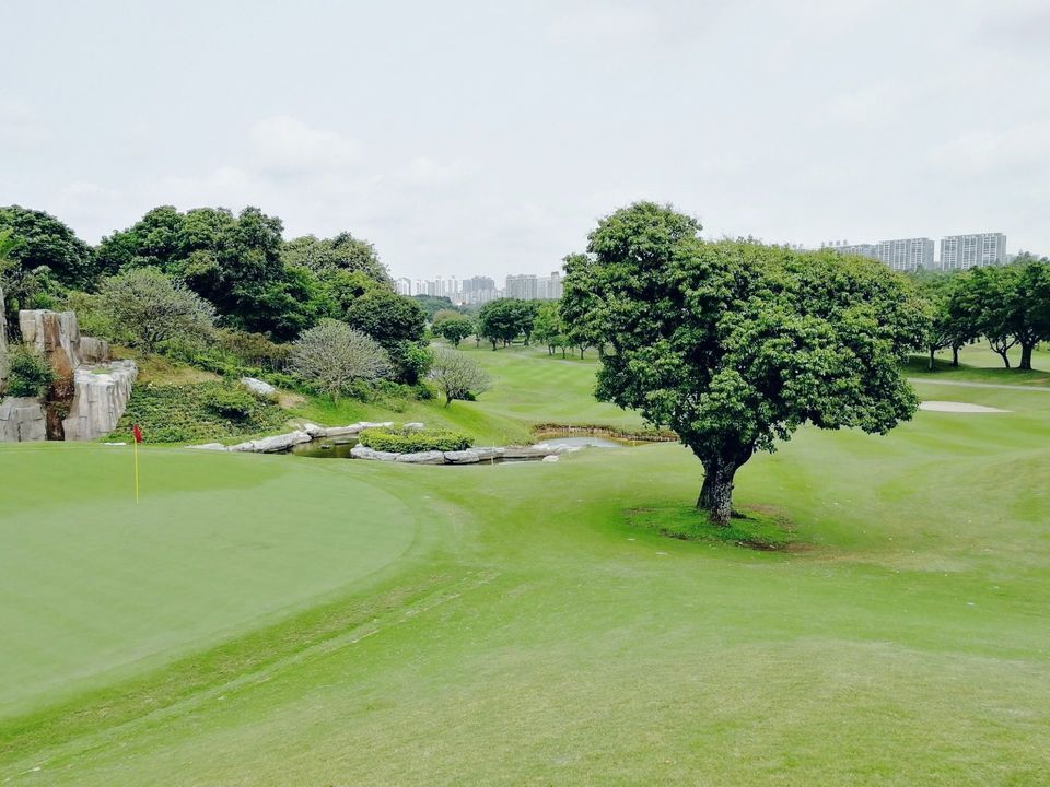                      峰景高尔夫