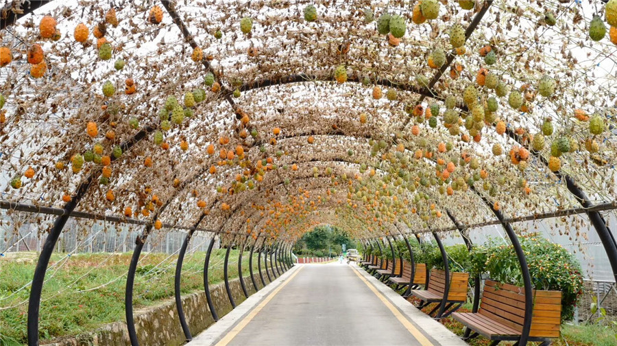 云谷田园位于黔东南苗族侗族自治州凯里市x802县道新光村推荐菜:分类