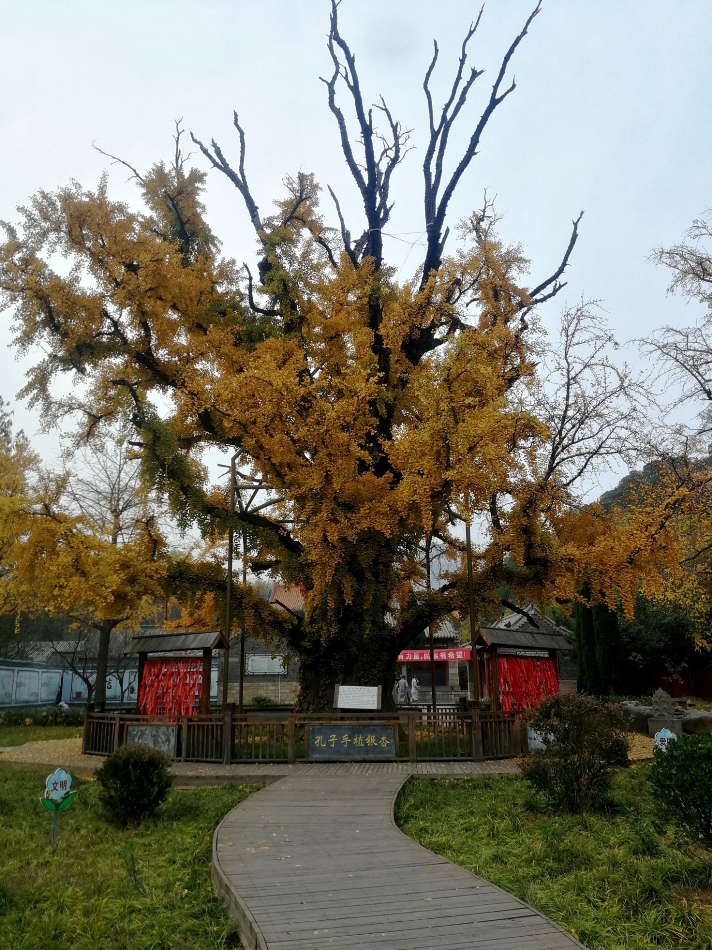 固始安山寺图片