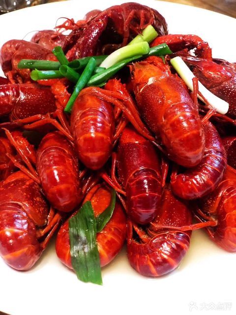 金湖杨五龙虾扬州店