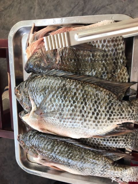 马街老字号罗非鱼庄龙马村店