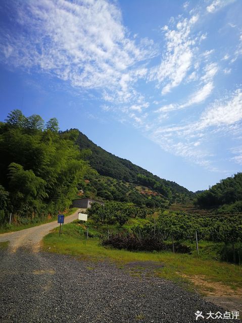 余姚市梁弄邱家杨梅生态园