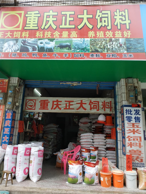 重庆正大饲料