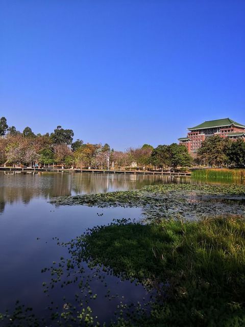 【华南农业大学湿地公园】华南农业大学湿地公园门票,华南农业大学湿