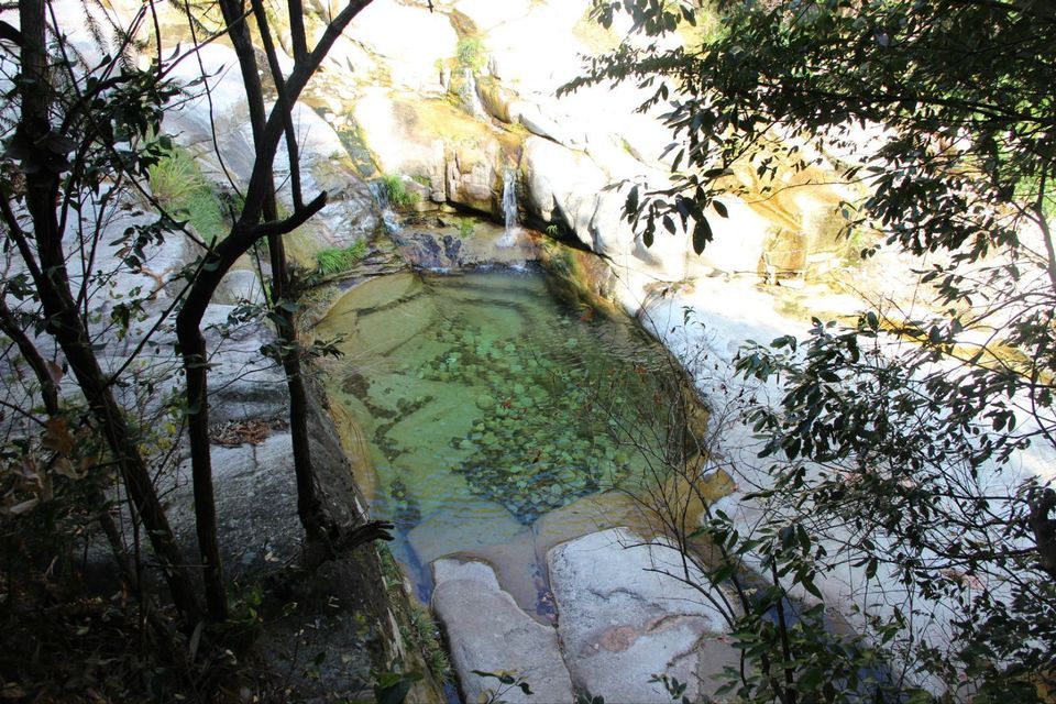 大鄣山卧龙谷旅游区图片