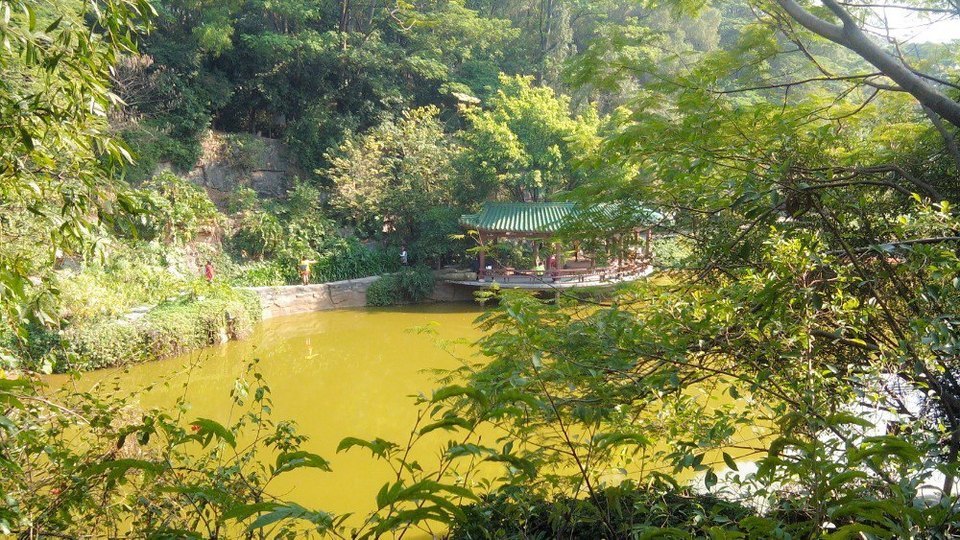 東莞市 休閒娛樂 景點公園 景點 > 榴花公園 