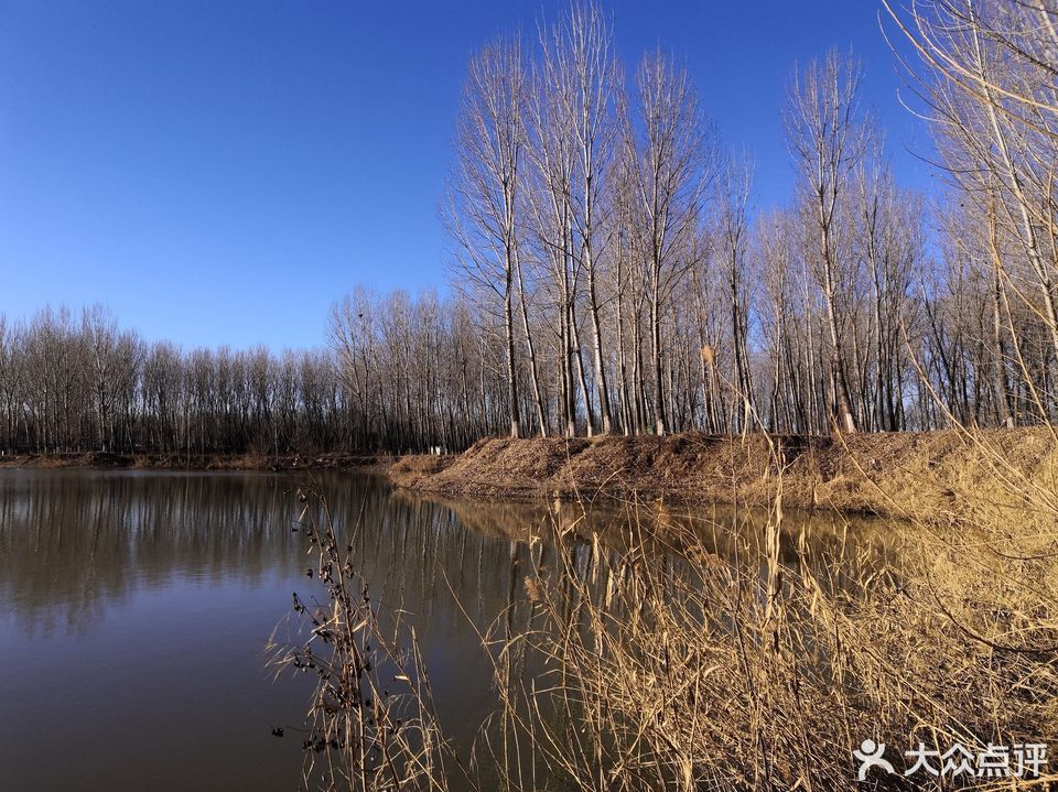 平谷渔阳天然湿地观光垂钓园图片