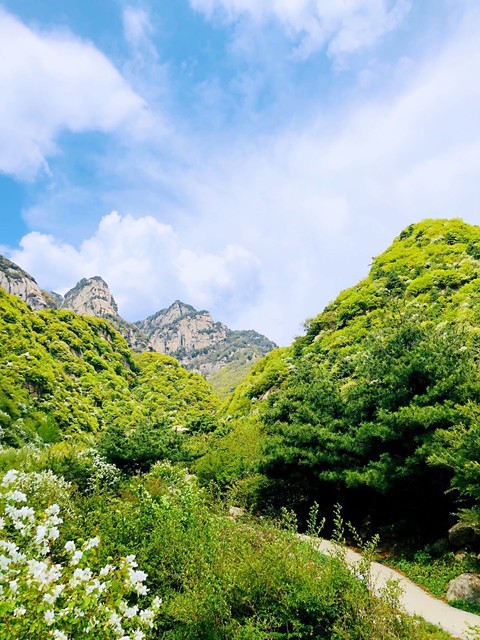 蓝田玉山蓝河风景区图片