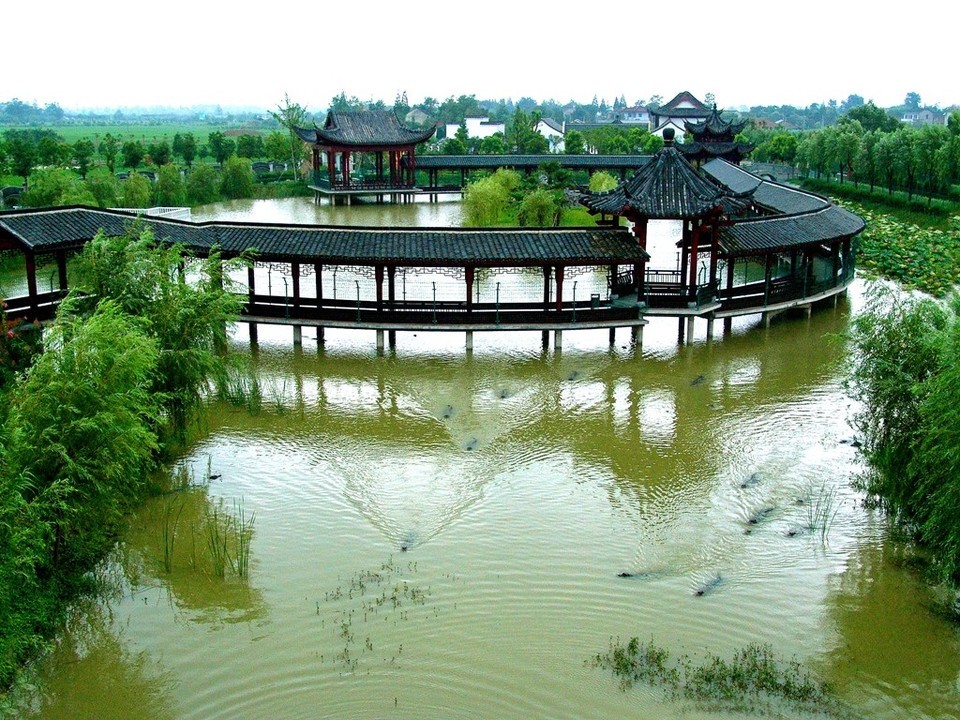 湖州中国扬子鳄村