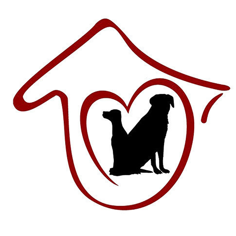 阿猫阿狗西丽南路店