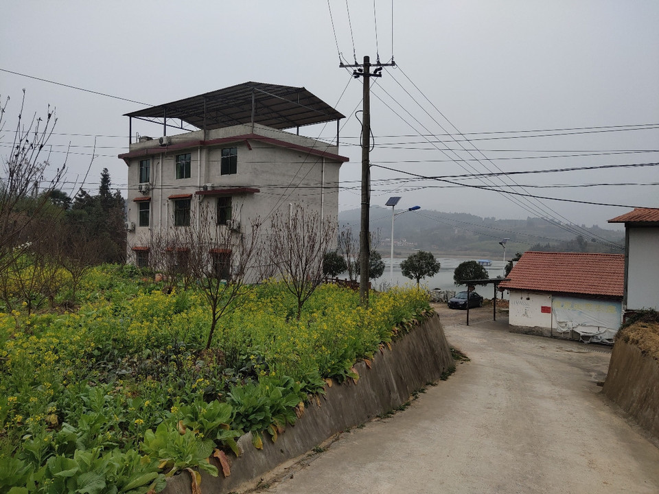 桂阳望湖生态庄园