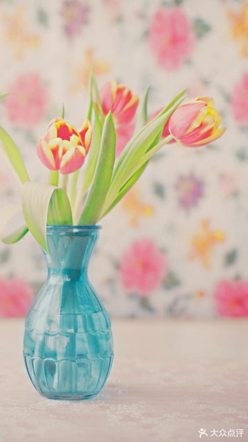 佰佳旺宝龙城店