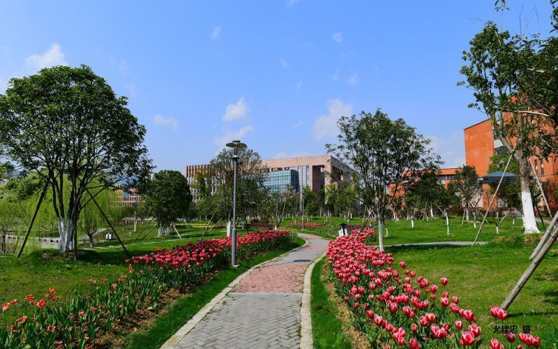 杭州商学院桐庐图片