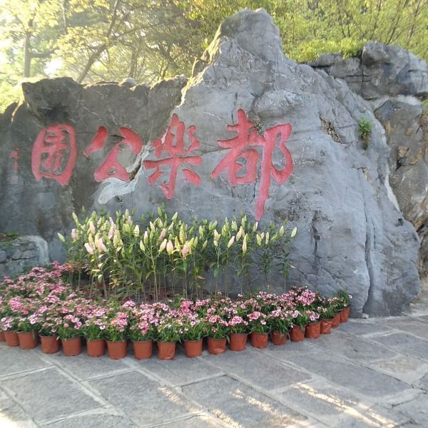 柳州都乐岩风景区