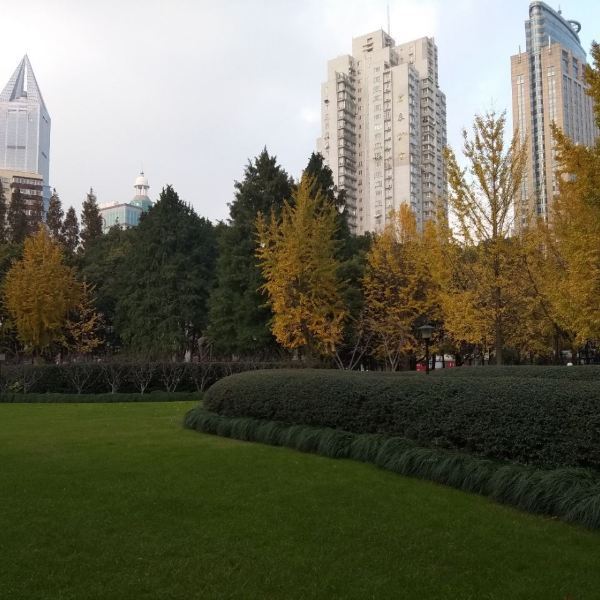 延安中路大型公共绿地
