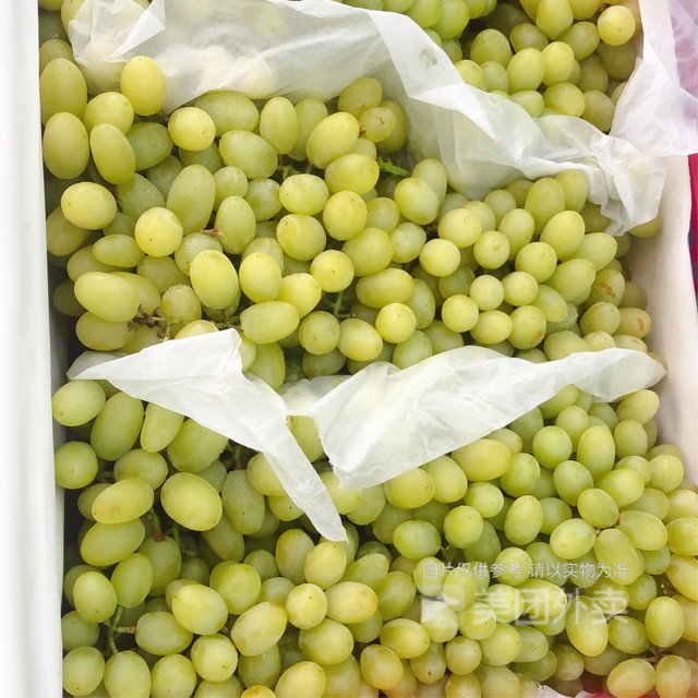 新疆无核珍珠青提图片