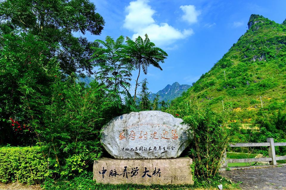 河池市 > 中國長壽村地址(位置,怎麼去,怎麼走,在哪,在哪裡,在哪兒)