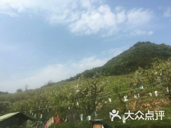 温州市瓯海区瞿溪街道桥下村后屿卫生室图片