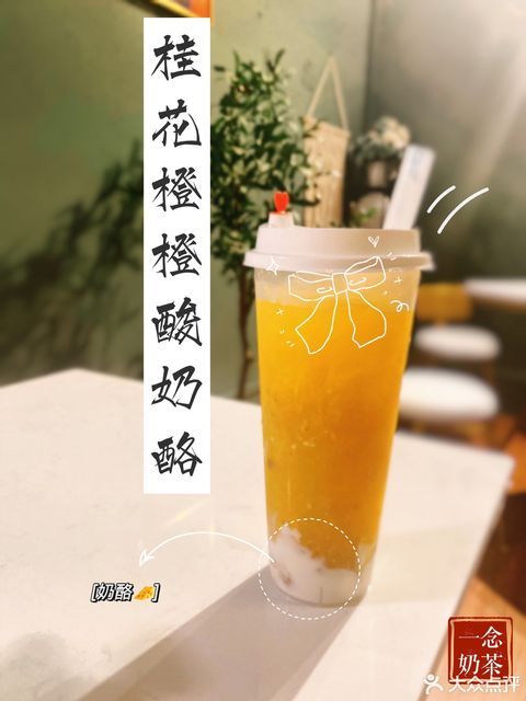 桂花橙橙酸奶酪圖片