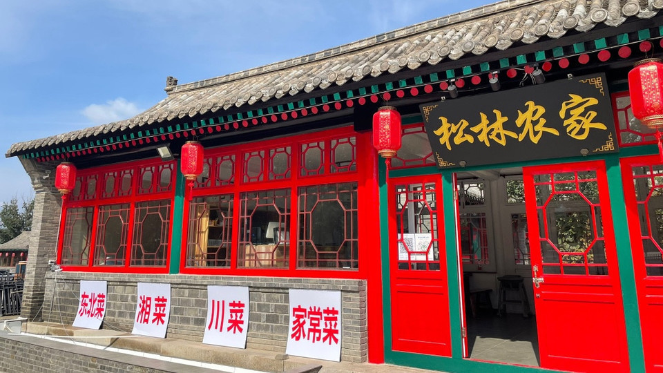 松林农家院图片